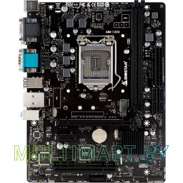 Материнская плата Biostar H410MHG Ver. 6.0